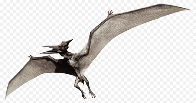 National park or Jurassic Park? Giant raptors will return to the skies ...